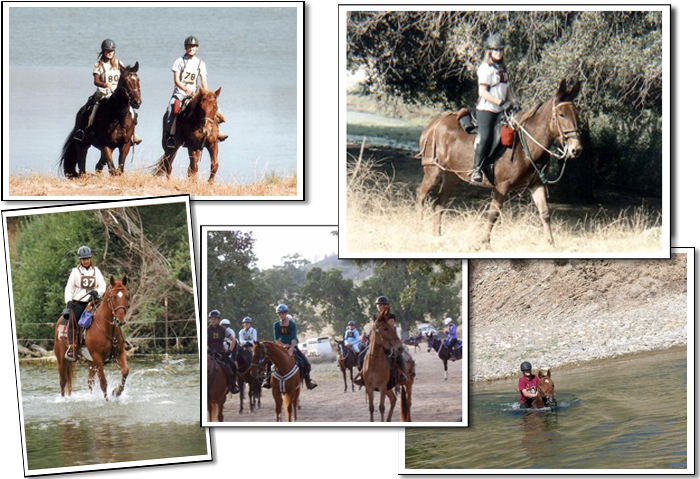 competitive trail rides collage