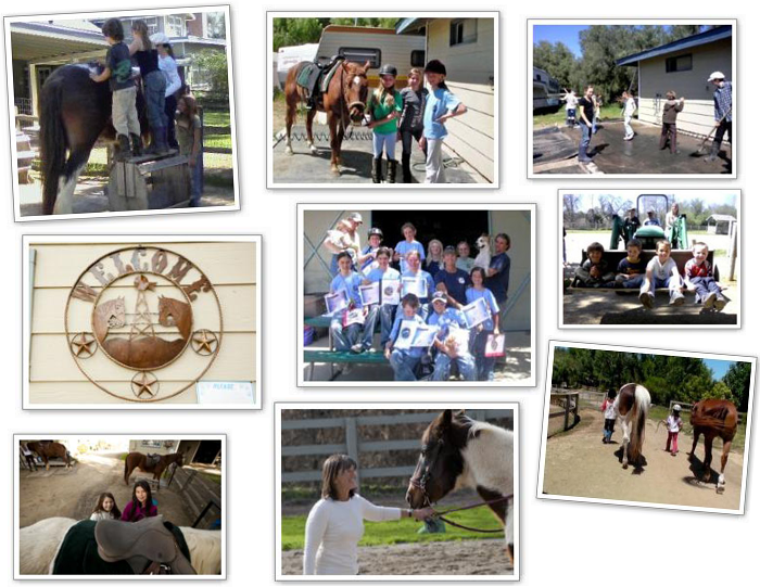 summer programs collage