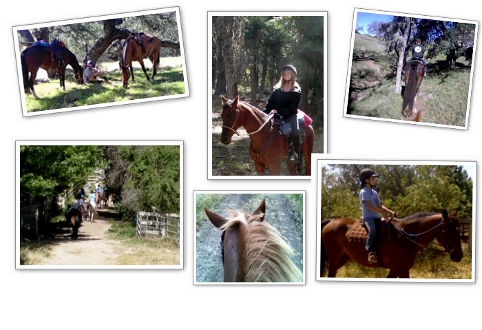 trail riding collage